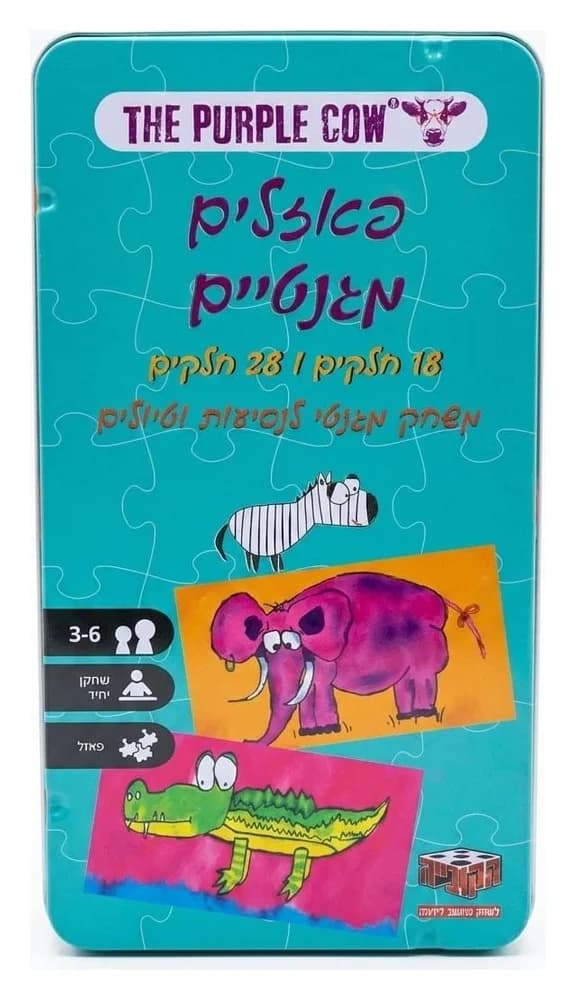 משחק דרך - פאזלים מגנטיים