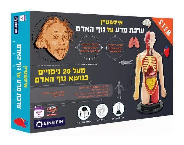 איינשטיין ערכת מדע על גוף האדם